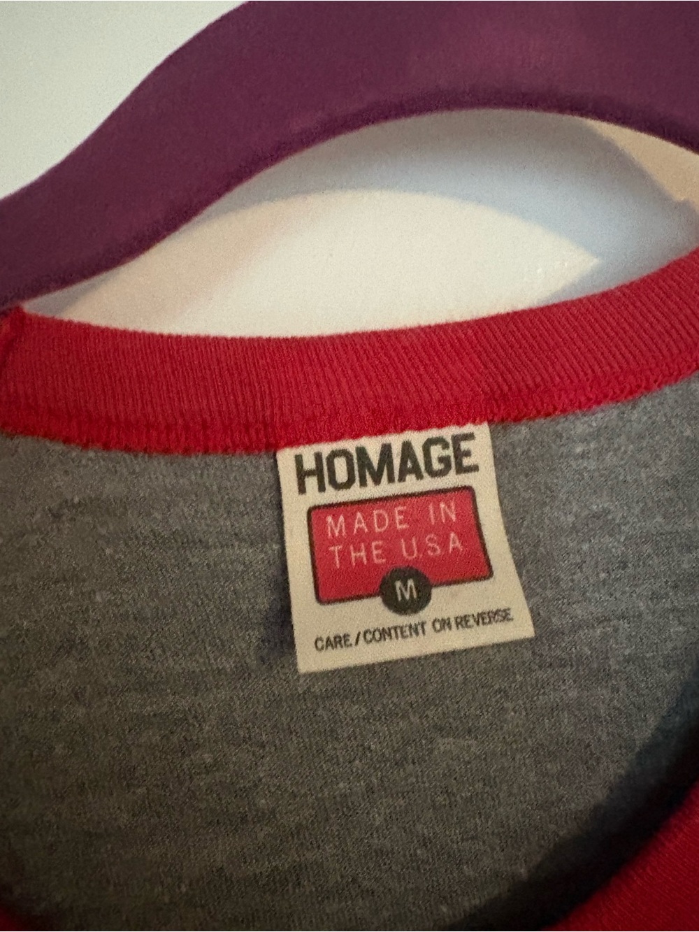 HOMAGE Script Ohio Raglan - Picture 2 of 3